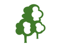 Fantasy RPG icon