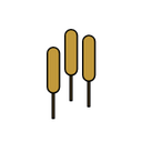 Fantasy RPG icon