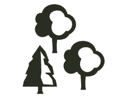 Fantasy RPG icon