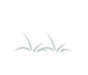Fantasy RPG icon