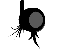 Fantasy RPG icon