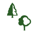 Fantasy RPG icon