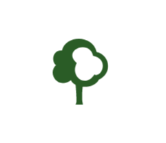 Fantasy RPG icon