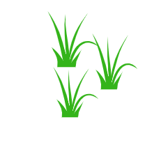 Fantasy RPG icon