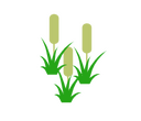 Fantasy RPG icon