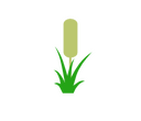 Fantasy RPG icon
