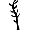 Algae