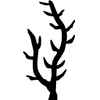 Algae