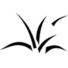 Effect for mountain