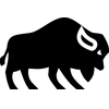Bison