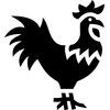 Rooster