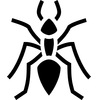 Ant