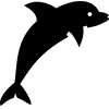 Dolphin