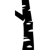 Trunk