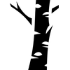 Trunk