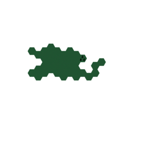 RPG map