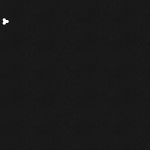 assets_item_title_Map_square