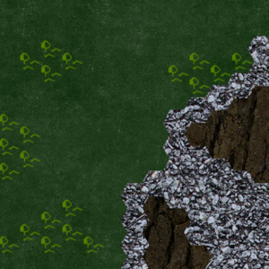 assets_item_title_Map_square