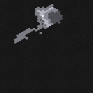 assets_item_title_Map_square