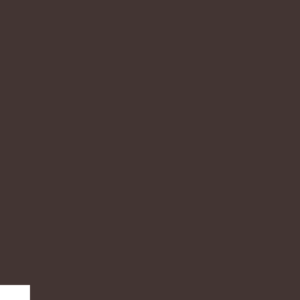 assets_item_title_Map_square