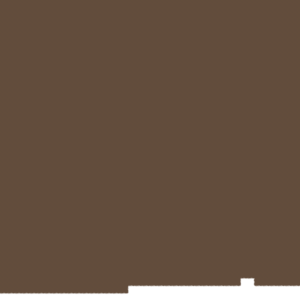 assets_item_title_Map_square