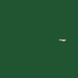 assets_item_title_Map_square