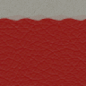 assets_item_title_Map_square