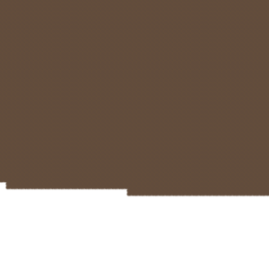 assets_item_title_Map_square