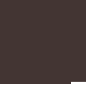 assets_item_title_Map_square