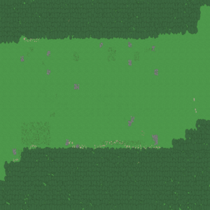 assets_item_title_Map_square