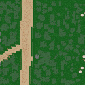 RPG map
