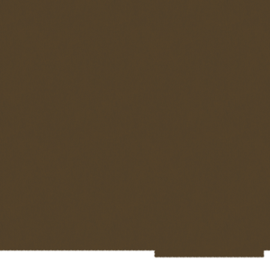 assets_item_title_Map_square