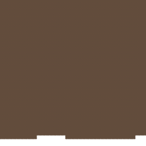 assets_item_title_Map_square