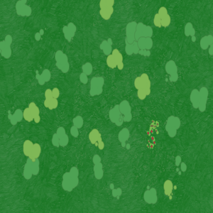 assets_item_title_Map_square