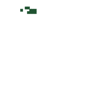 assets_item_title_Map_square