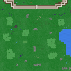 assets_item_title_Map_square