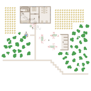 assets_item_title_Map_square