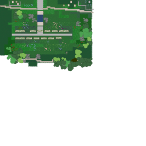 assets_item_title_Map_square