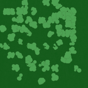 assets_item_title_Map_square