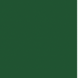 assets_item_title_Map_square