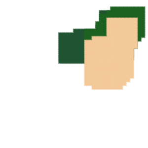 assets_item_title_Map_square