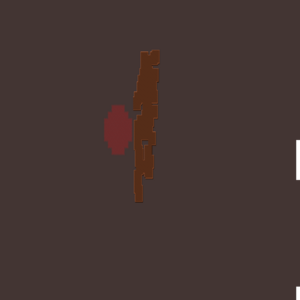 assets_item_title_Map_square