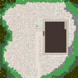 assets_item_title_Map_square