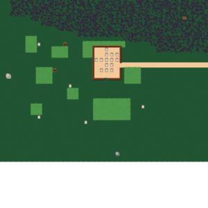 RPG map