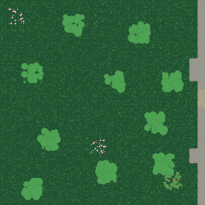 assets_item_title_Map_square