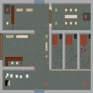 assets_item_title_Map_square