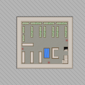assets_item_title_Map_square
