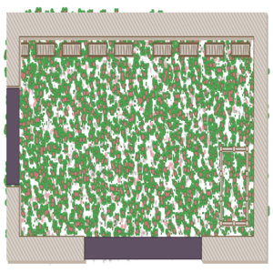 RPG map