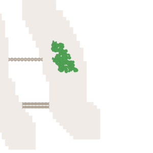 assets_item_title_Map_square