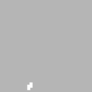 assets_item_title_Map_square